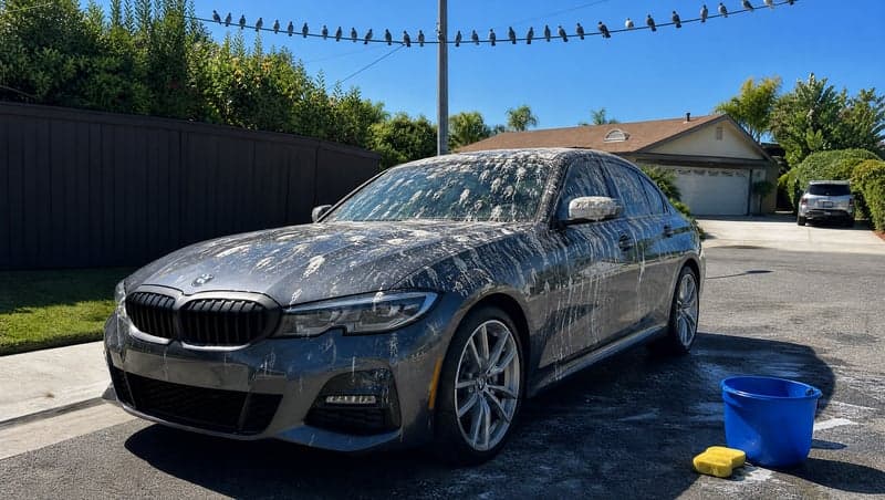 AI-generated pigeon poop car prank image by ViralPrank