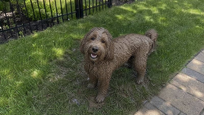 AI-generated dog mischief prank image by ViralPrank