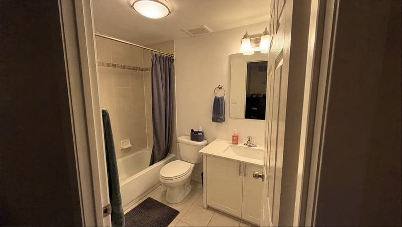 Reference photo before AI prank — Flooded bathroom